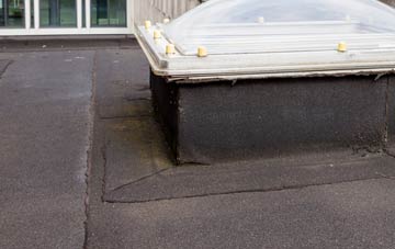 disadvantages of Blarbuie flat roofs